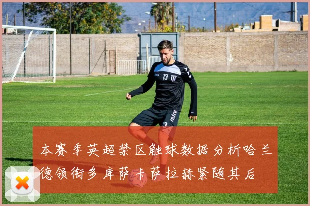 本赛季英超禁区触球数据分析哈兰德领衔多库萨卡萨拉赫紧随其后
