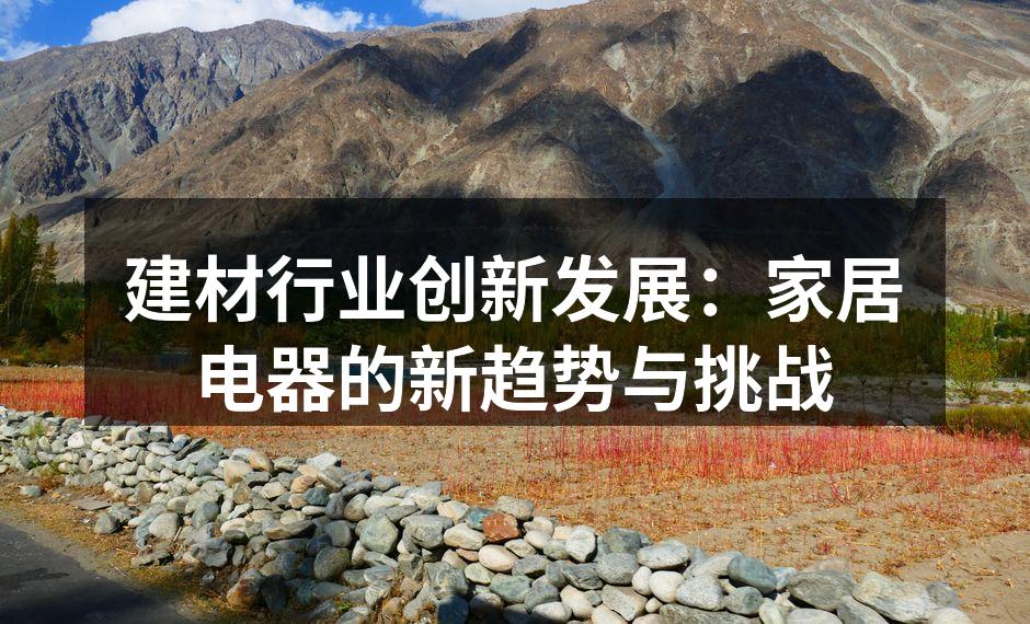 建材行业创新发展：家居电器的新趋势与挑战